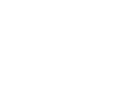 icon kipptor schwingtor