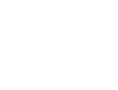 icon rolltor
