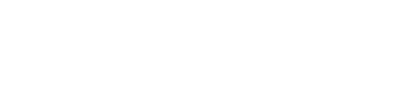 pfullendorfer logo mono w